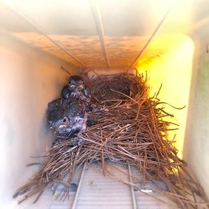 Meet your Posher, Kenny